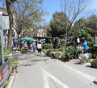 Pflanzenverkauf am Park