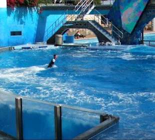 Sea World