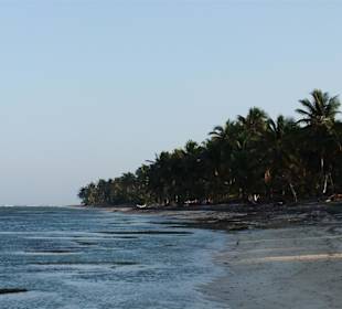 Nach dem Hotelstrand (Hotel Catalonia Bavaro Resort) in Rich