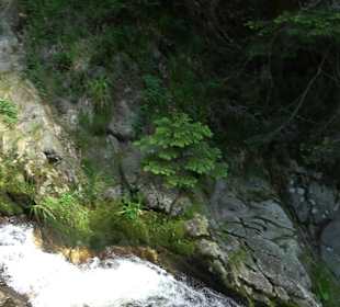 Wasserfälle Allerheiligen