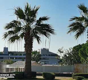 Stadtrundgang Evrenseki