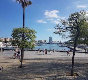 Barcelona 