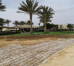 Ausflug nach Sharm el Naga