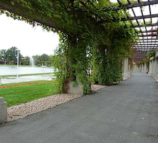 Pergola