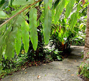 Impressionen aus den Jardins de Valombreuse