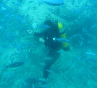 Blick aus dem U-Boot