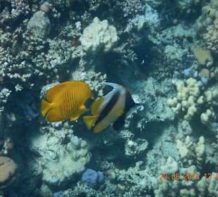 Ausflug mit Mohamed-Dabab