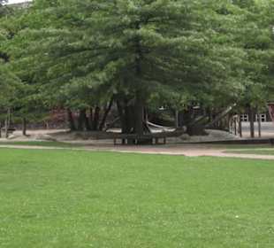 Spielplatz Planten un Blomen