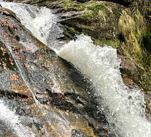 Wandern Warzenried