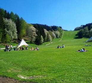 Sommerrodelbahn Peterberg in Nonnweiler