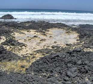 Parco naturale delle dune