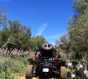 Buggy Tour