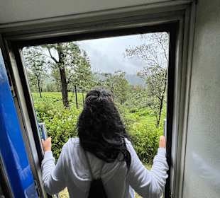 Zugfahrt durch Berge