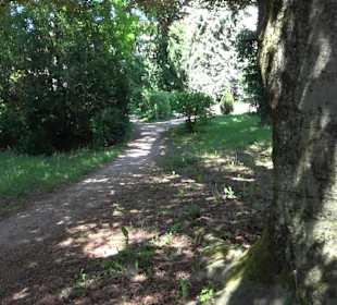 Schneidt'scher Garten