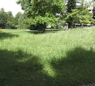 Seeburgpark