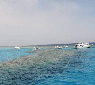 Schöne Riffe in Hotelnähe