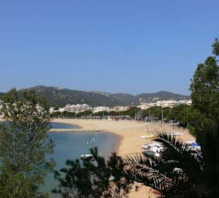 San Feliu