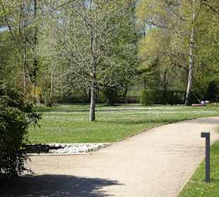 Impressionen vom Rundgang durch den Kurpark