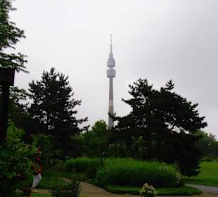 Rosenfest im Westfalenpark in Dortmund