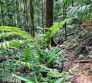 Parque Natural Obô do Príncipe