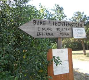 Wegweiser Burg Liechtenstein