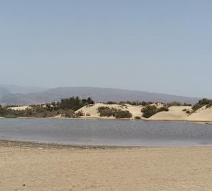 Dünen von Maspalomas