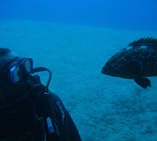 Tobias mit anhänglichem Zacki