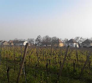 Herrenhof Mußbach