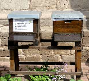Bienenstöcke im Bibelgarten