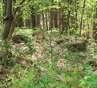 Terraces  at  Fetele Albe fortress