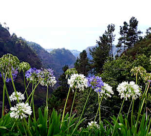 Schöne Landschaft Nonnental