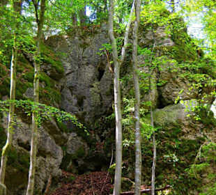 Wanderung zum Bärenfels