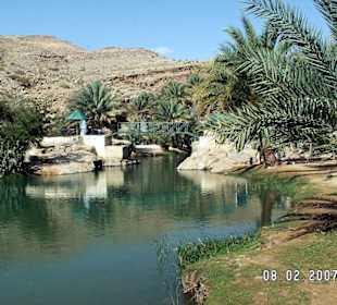 Naturpools des Wadi Bani Khalid