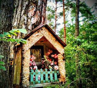 Kampinoski Park Narodowy