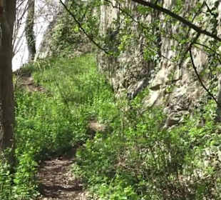 Aussichtspunkt Bichishausen