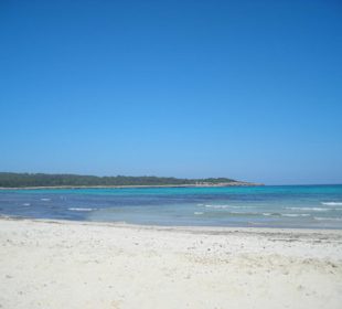 Strand von Sa Coma