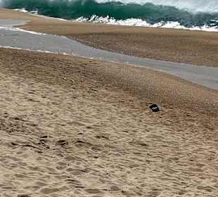 Strand Nazare