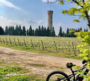 Wandern Desenzano del Gardait