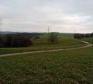 Kirschlandwanderweg in Schönenberg-Kübelberg