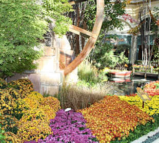 Botanischer Garten Bellagio