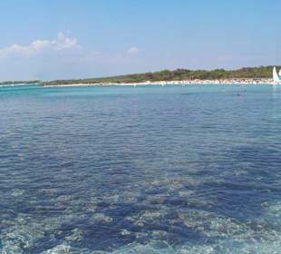 Nach wenigen Metern teilweise Algen