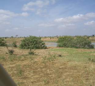 Tsavo Ost