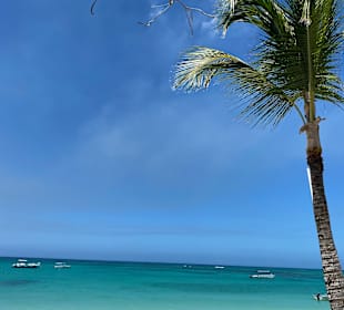Isla Saona