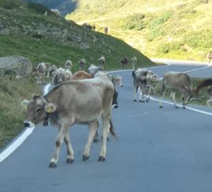 Wandern Kappl