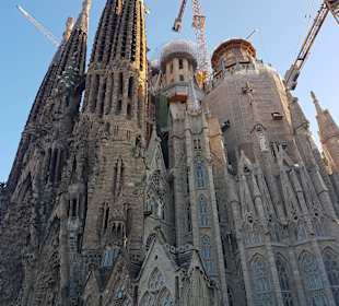 Katedra Sagrada Familia