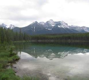 Hector Lake vor dem Mt. Temple