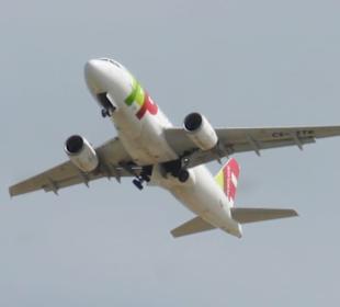 Flugzeug über den Salinen von Faro