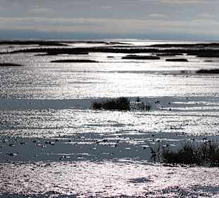 Wandern Nordhastedt