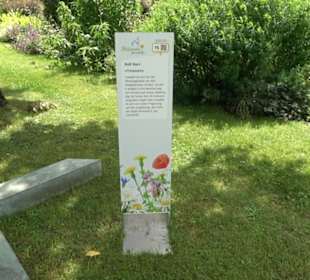 Blühendes Neresheim 2021