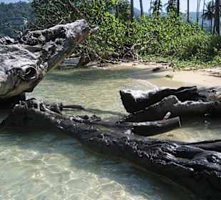 Koh Man Noi